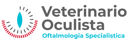 Veterinario Oculista